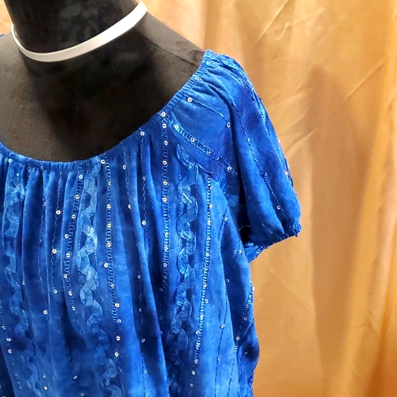 Shannon Ford NY Blue Sequin Scoop Neck Puff Sleeve Blouse 1X - Picture 2 of 6